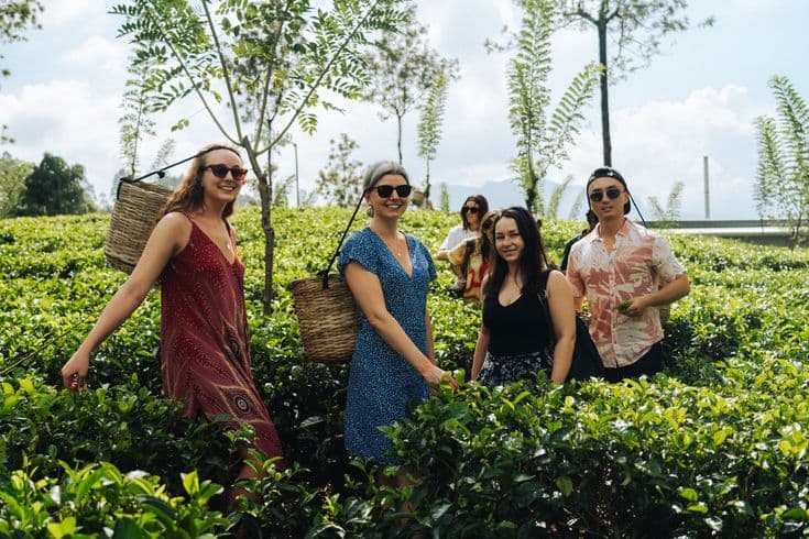 Two Days One Night Tour - 398bbddacfae21a108fb331633723370